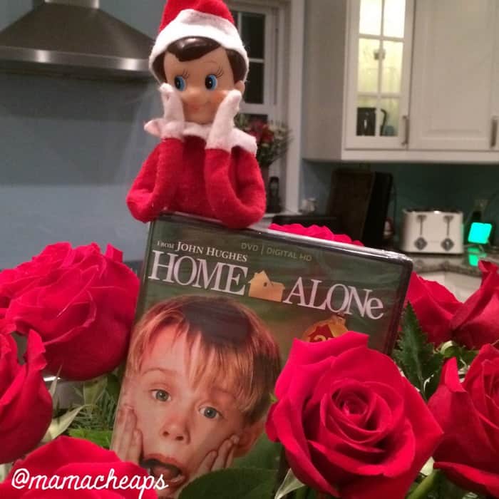 Elf Brings Home Alone