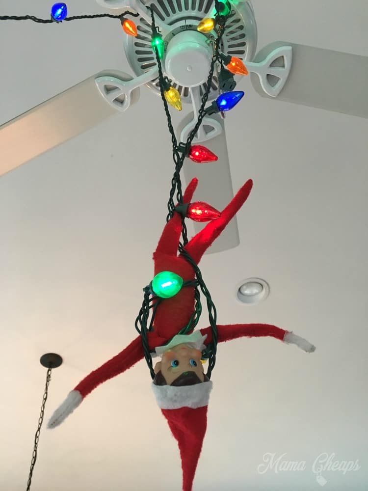 Elf in Christmas Lights