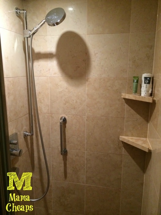 disney cruise master bath shower