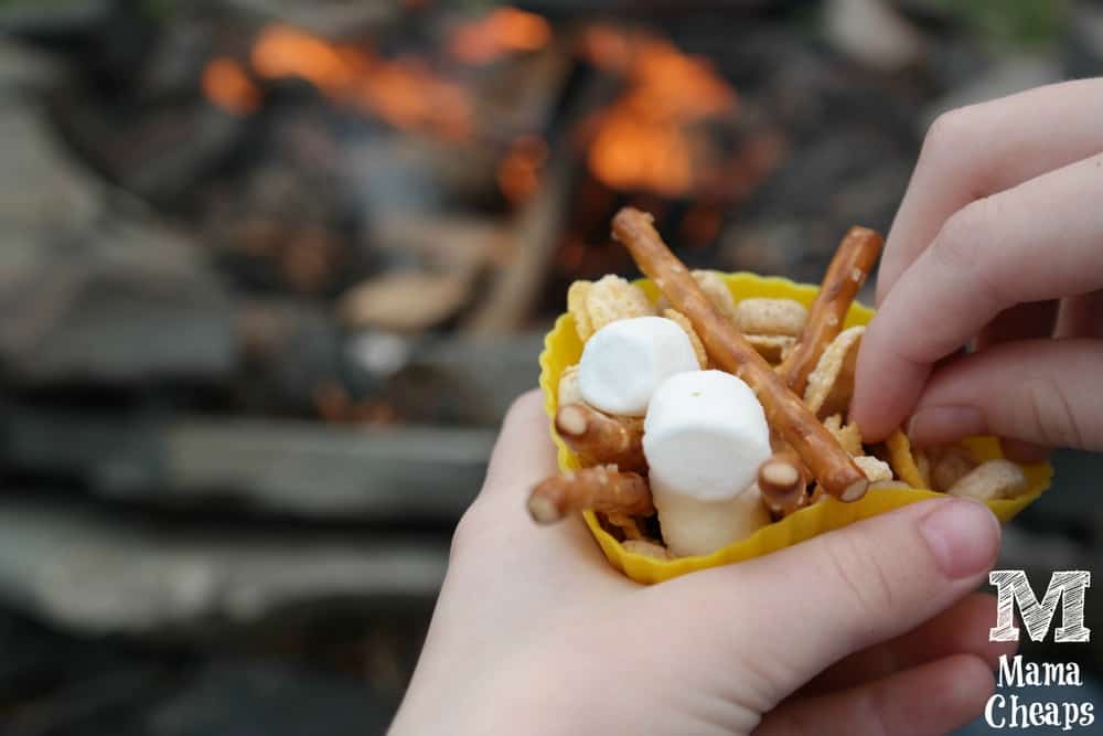 Campfire Snacks