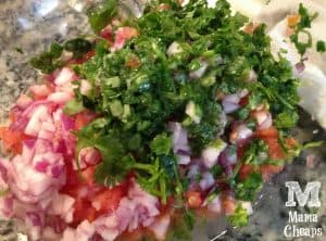 Homemade Fresh Salsa Ingredients