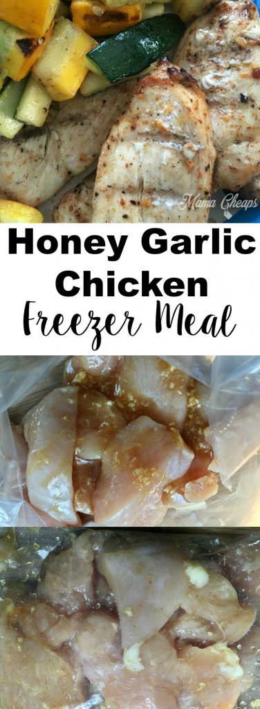 Garlic Honey Chicken Freezer Meal Recipe