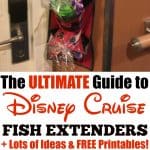 ultimate-guide-to-disney-cruise-fish-extenders