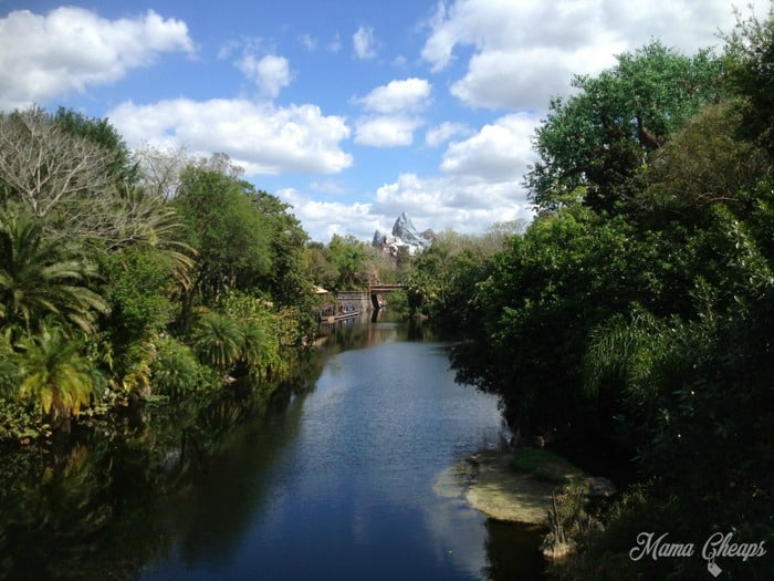 River with Expedition Everest