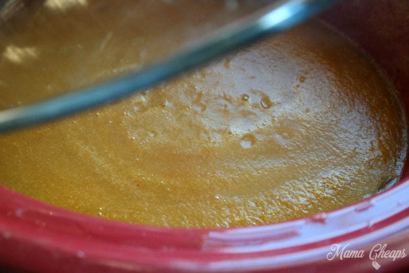 Butternut Squash Soup in Crock Pot