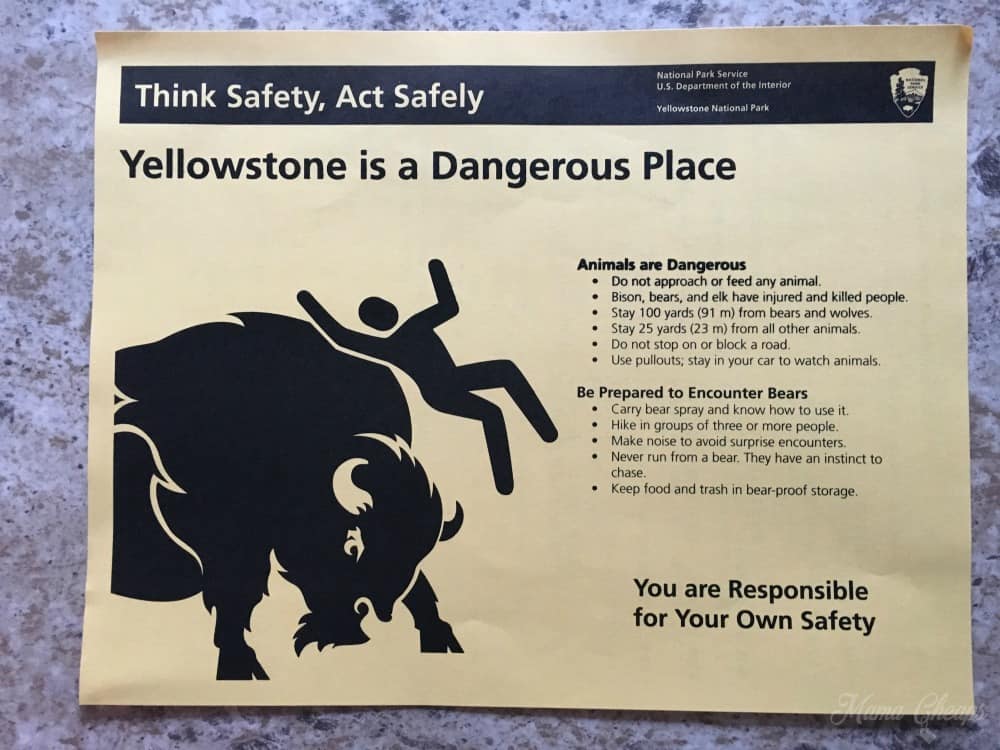 Yellowstone Animal Danger Poster