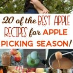 the Best Apple Recipes for Apple Picking Season