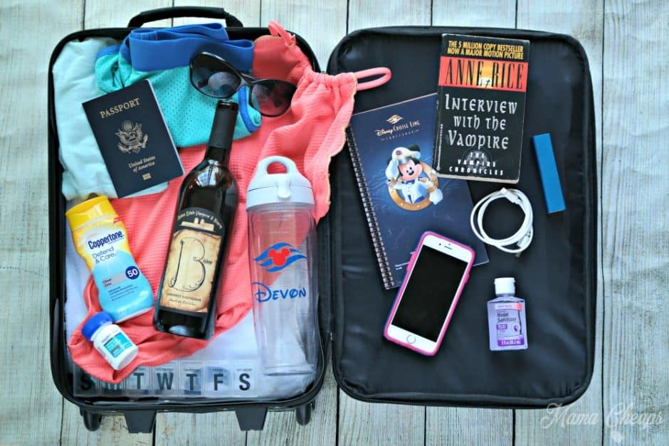 cruise carry on bag size