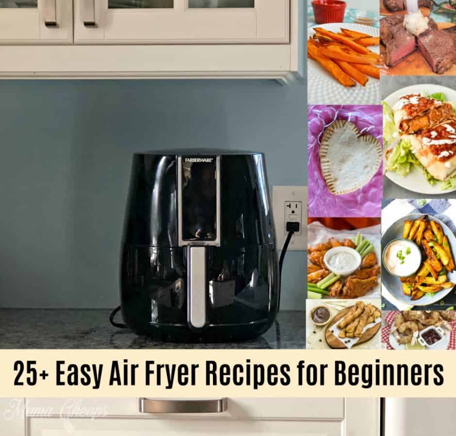 25-easy-air-fryer-recipes-for-beginners-mama-cheaps