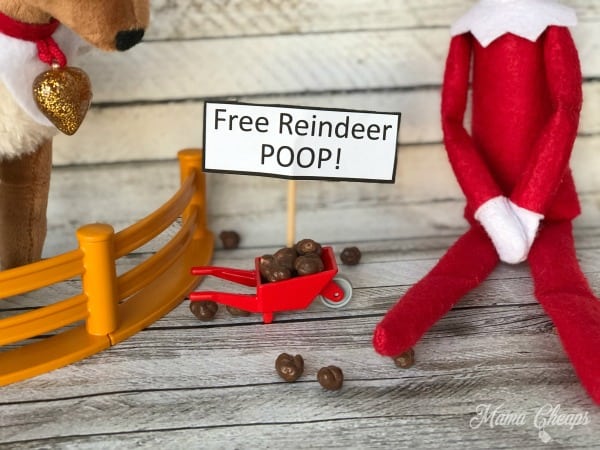 Funny reindeer poop scene