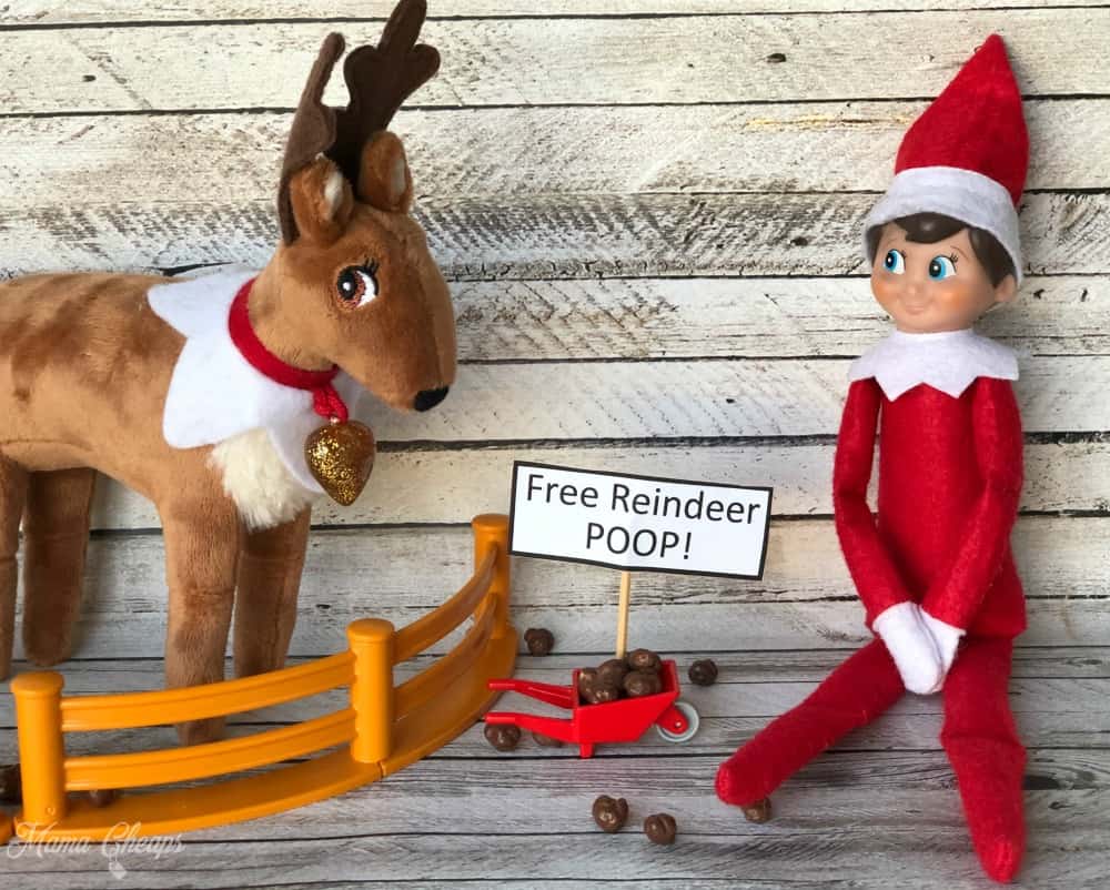 Reindeer Elf Poop