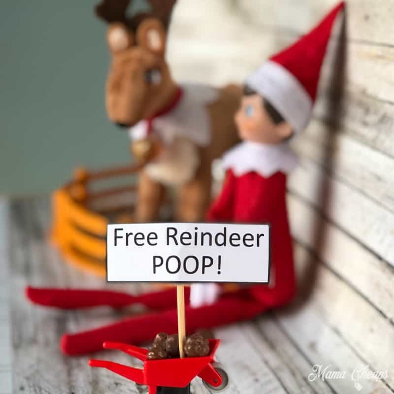 free reindeer poop