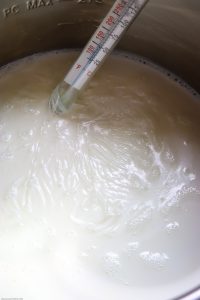 Instant Pot Yogurt Process-7