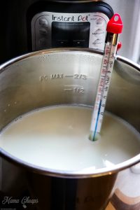 Instant Pot Yogurt Temperature