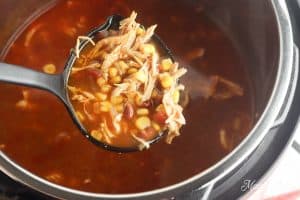 Instant Pot Soup Ladle