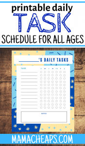 Daily Task Schedule PIN