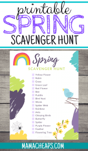 Spring Scavenger Hunt PIN