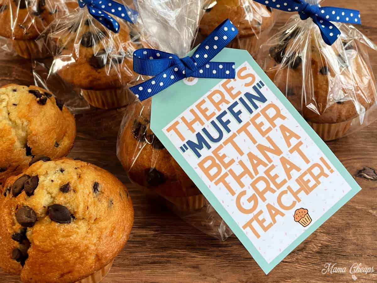 Muffin Teacher Gift HERO