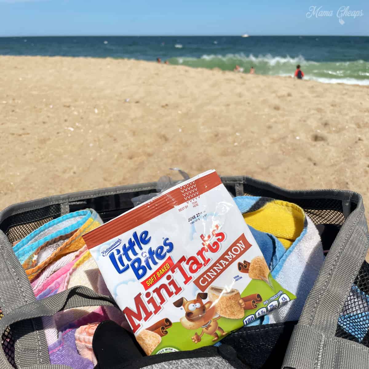 Little Bites in Beach Bag SQUARE