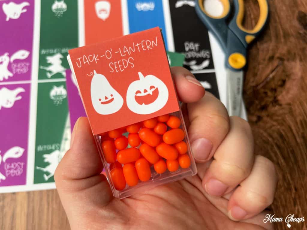 Front Orange Tic Tacs